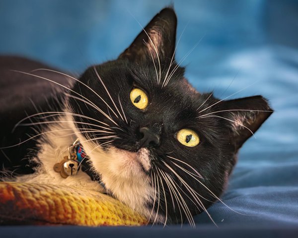 Wie kann man modische Outfits für den Büroalltag zusammenstellen?